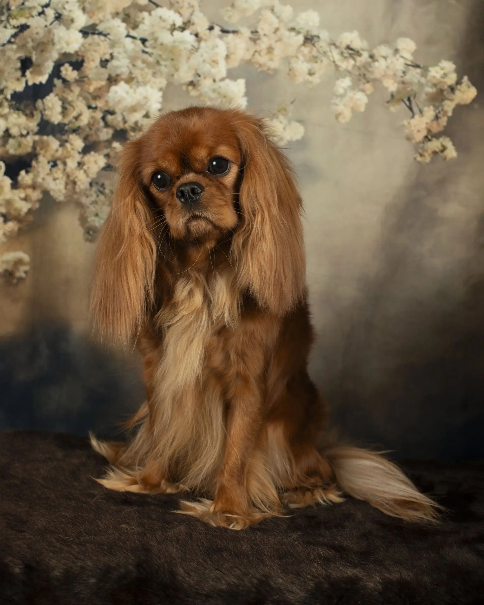 Molly, photo 1