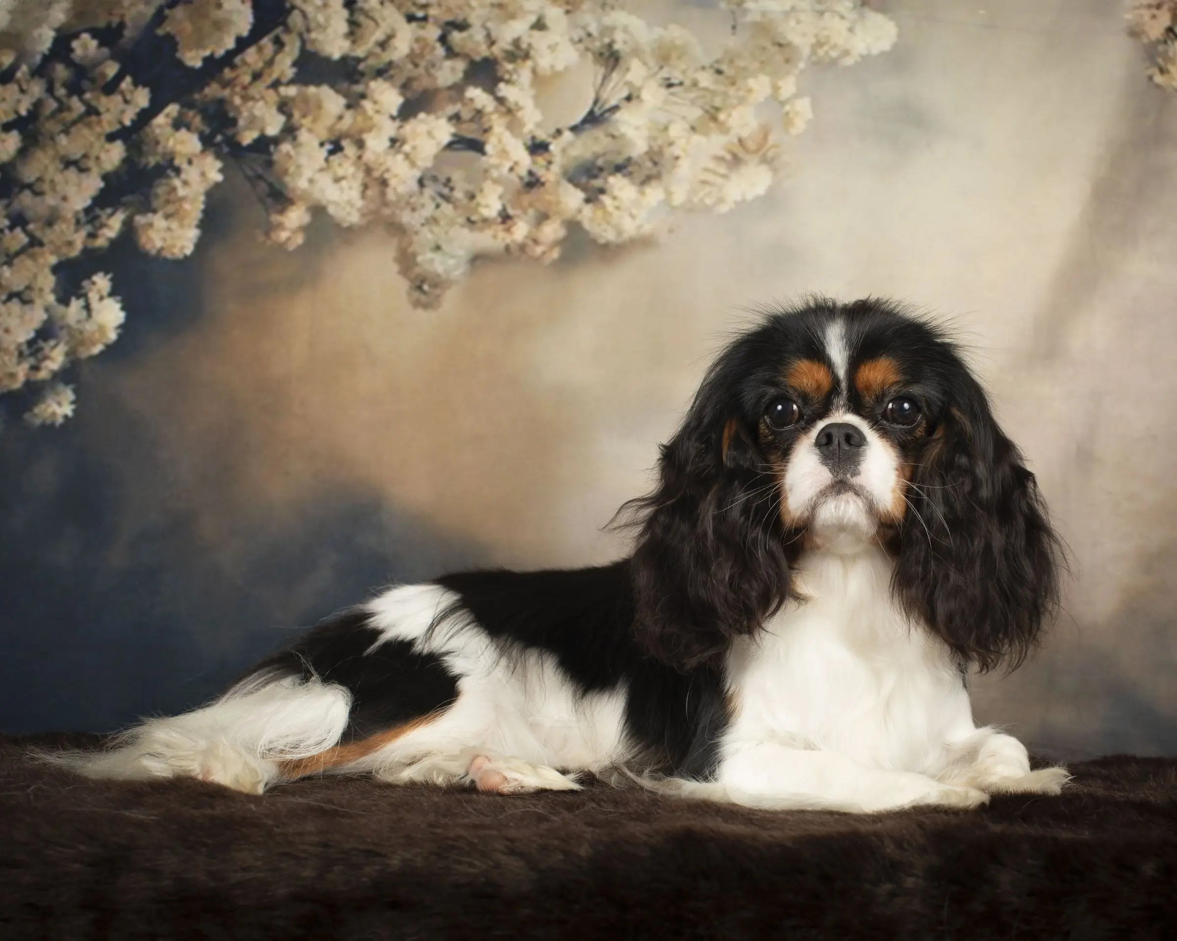 Nellie, photo 4