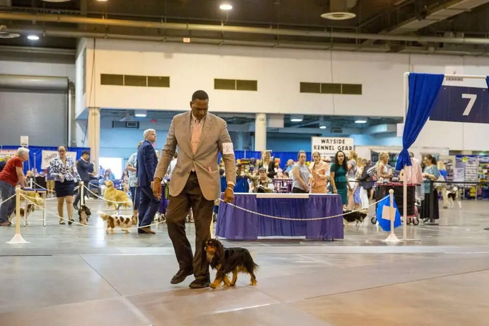 Harry, photo 13