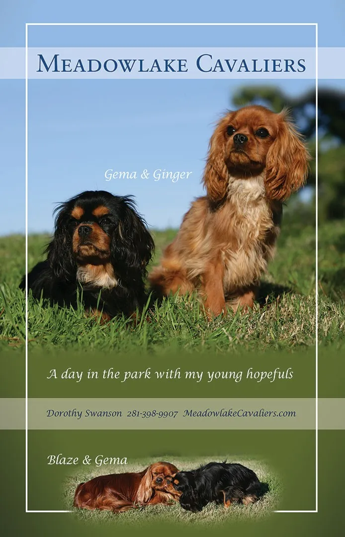 Meadowlake Cavaliers show ad, 2016 — Gema, Ginger & Blaze