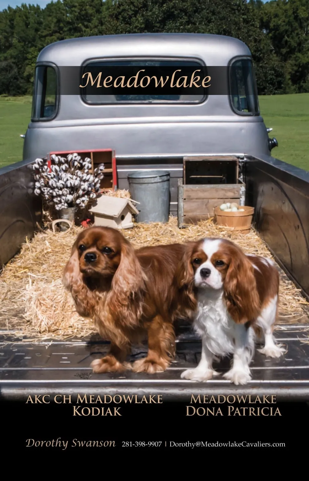 Meadowlake Cavaliers show ad, 2019 — Kody & Patty
