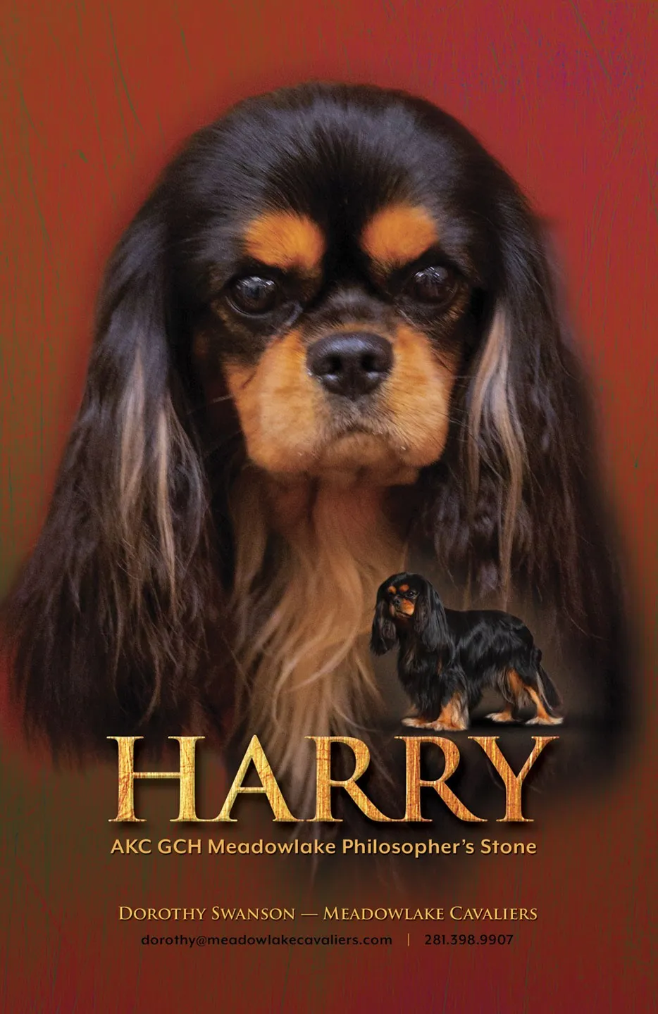 Meadowlake Cavaliers show ad, 2021 — Harry