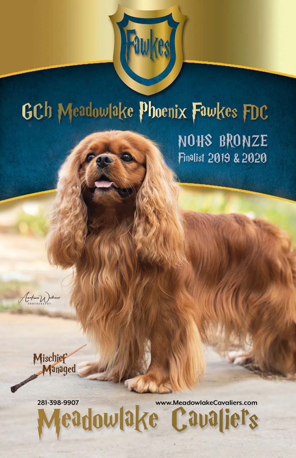 Meadowlake Cavaliers show ad, 2022 — Fawkes