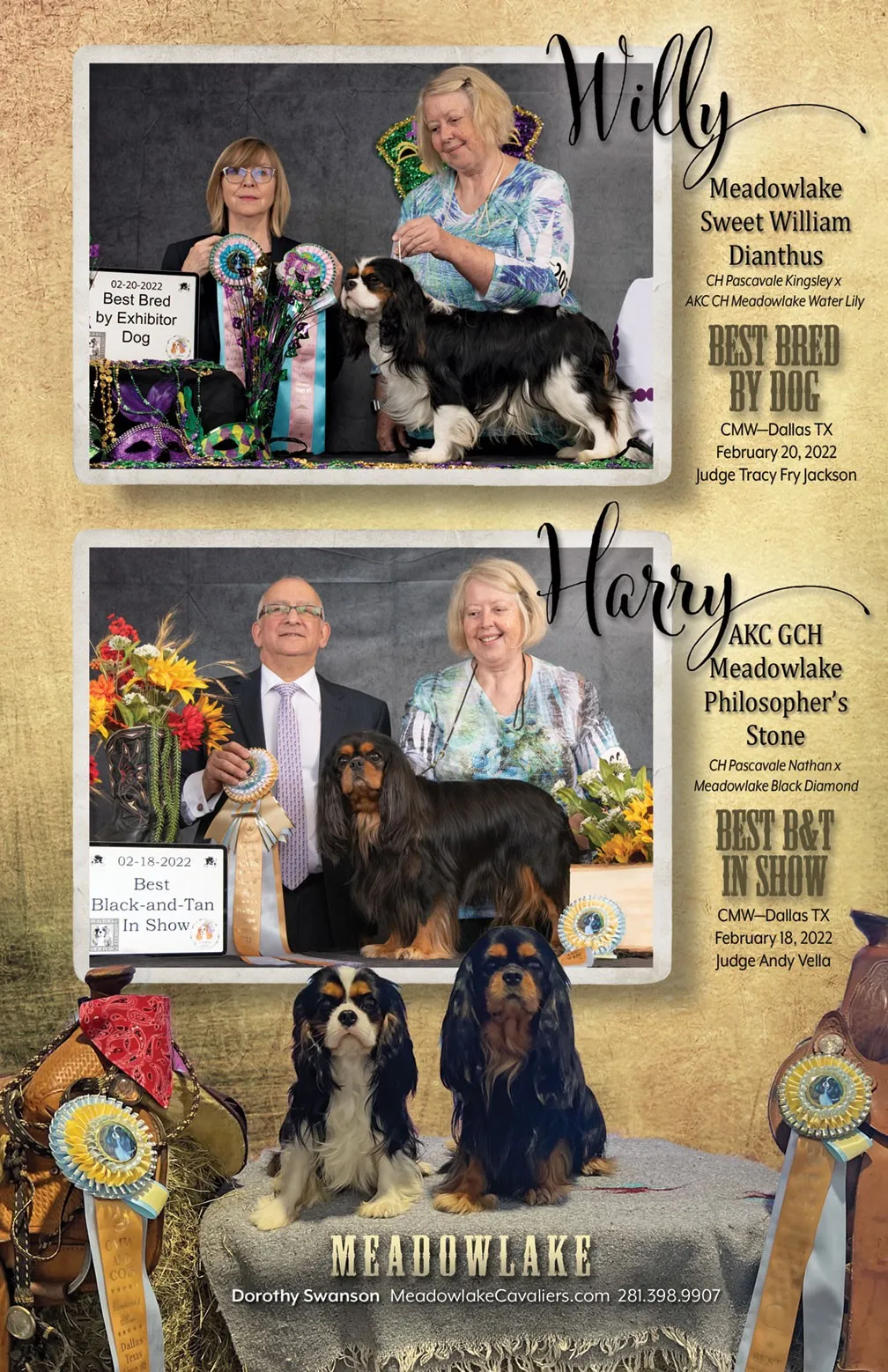 Meadowlake Cavaliers show ad, 2022 — Willy & Harry