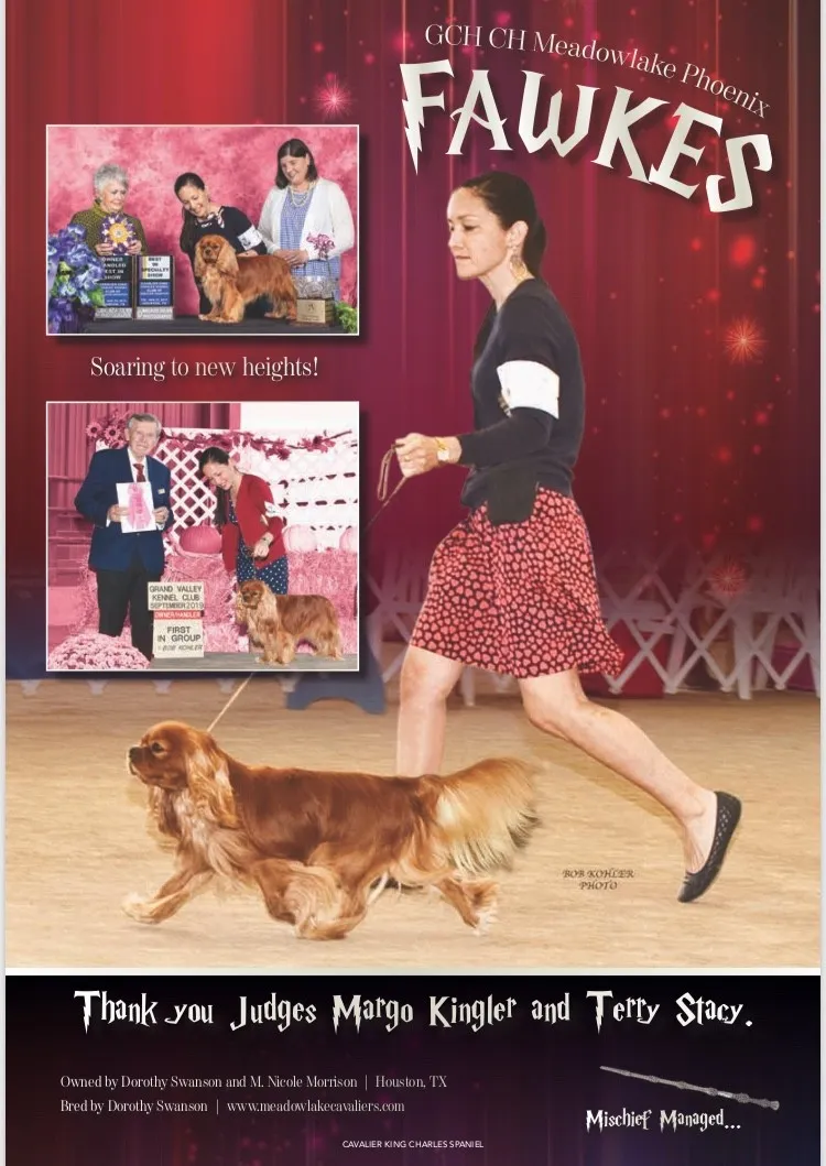 Meadowlake Cavaliers show ad — Fawkes in ShowSight
