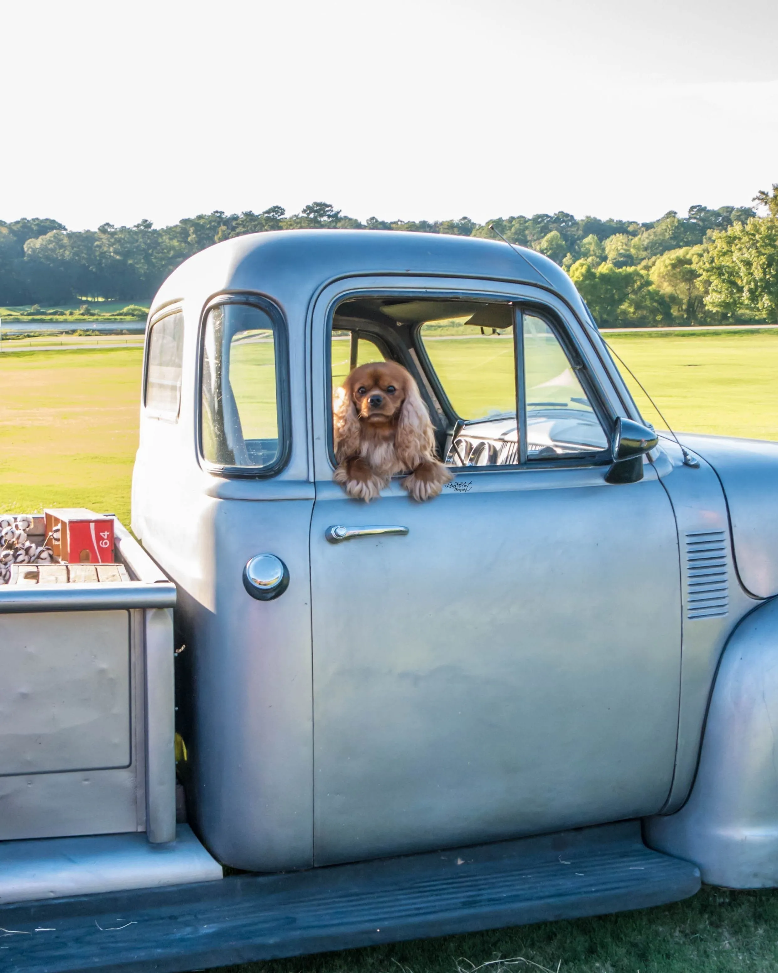 Meadowlake Cavaliers show ad, 2019 — Kody on location