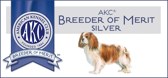 American Kennel Club Breeder of Merit — Silver level