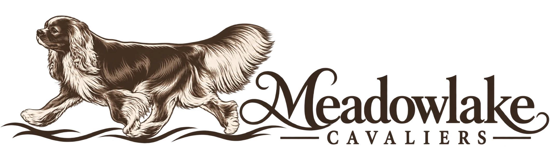 Meadowlake Cavaliers