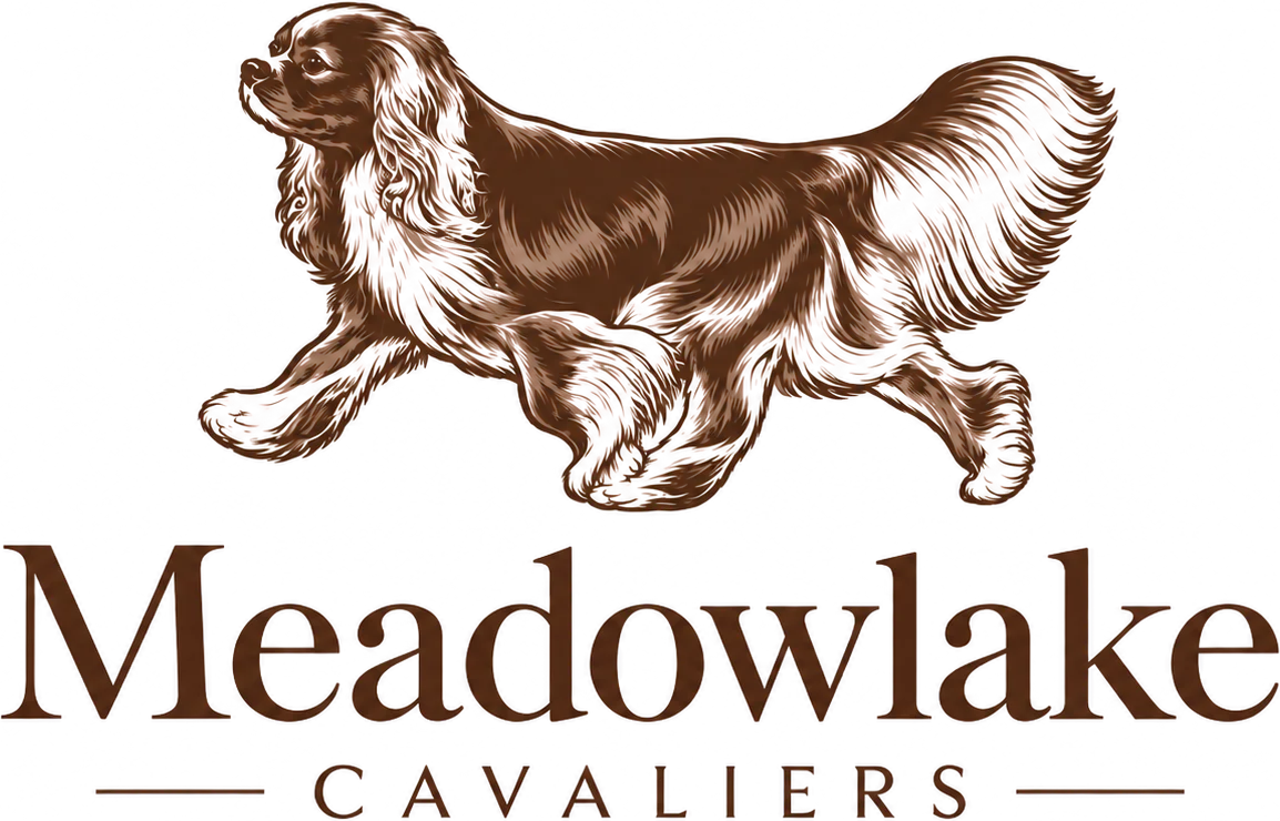 Meadowlake Cavaliers