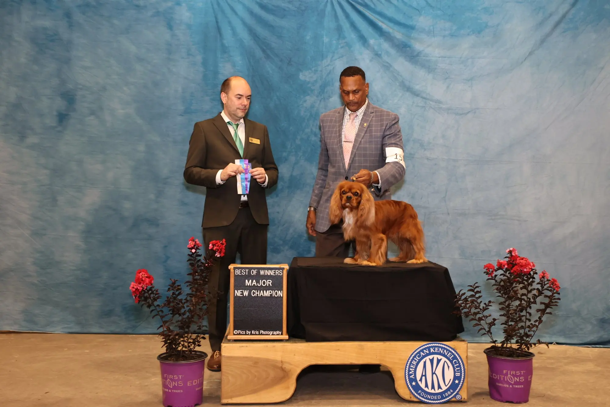 Graham on the podium with a Best of Winners, Major, New Champion sign